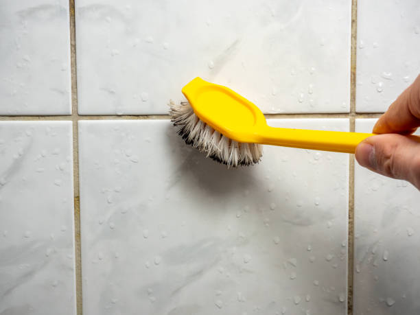 Best Black Mold Removal  in Summit, WA